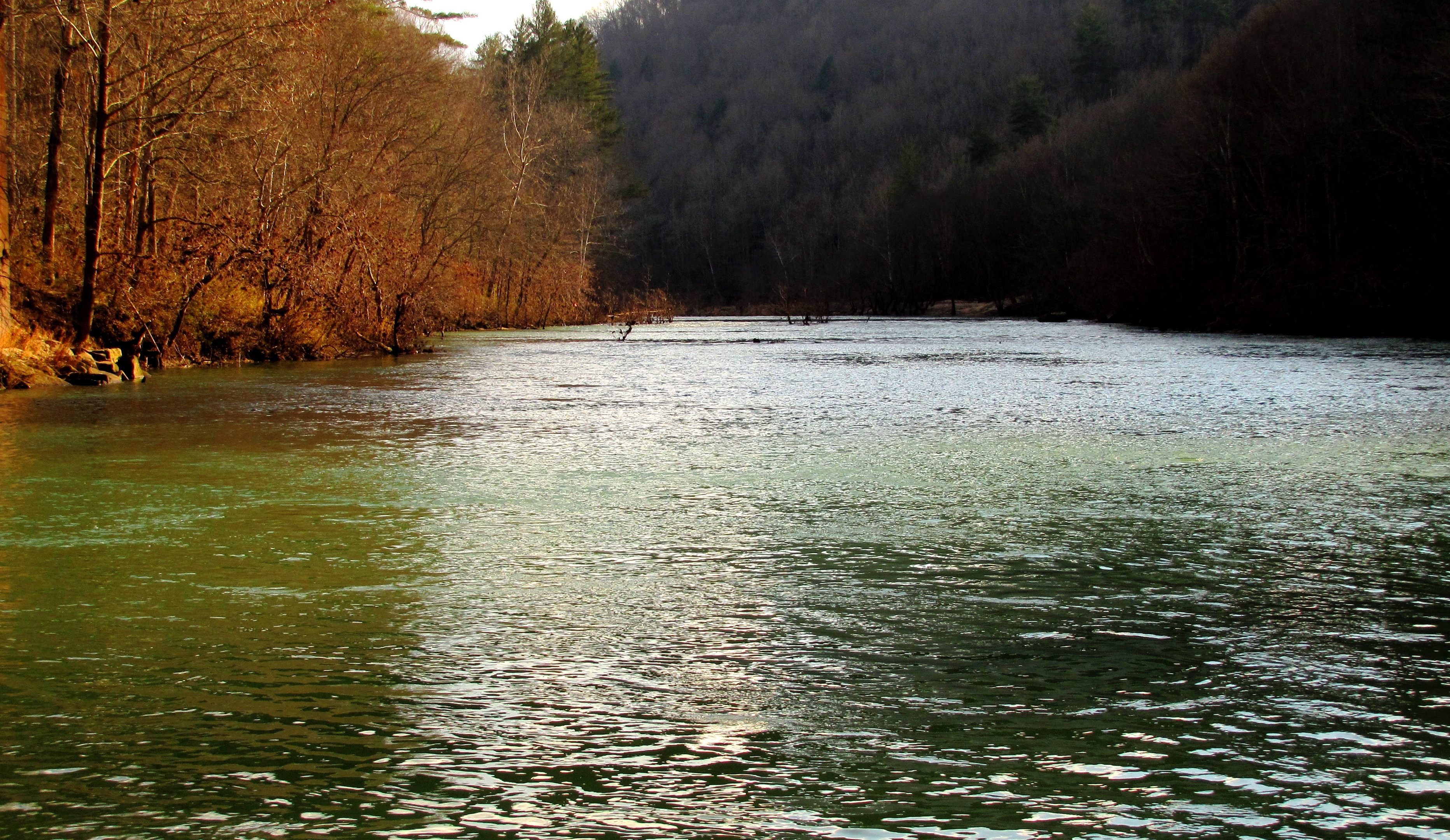 The Big South Fork flows through the wooded Leatherwood Ford gorge corridor in Tennessee.