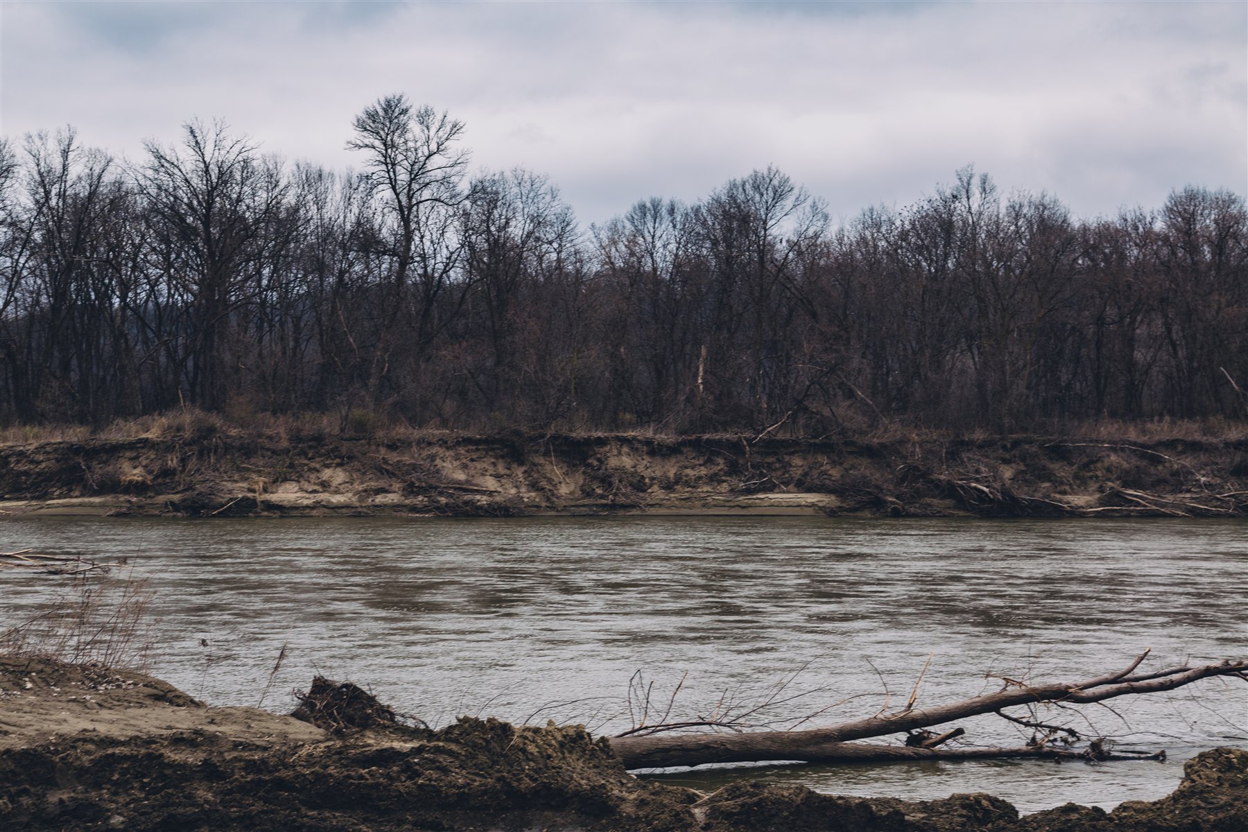 The Blue Earth River runs through a wooded Mankato-area valley under a bright sky.