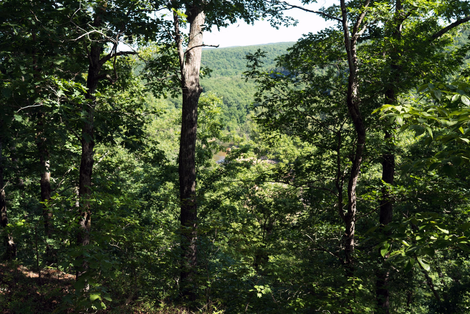 Bryant Creek flows through a wooded Missouri state park corridor with gravel bars and clear shallow water.