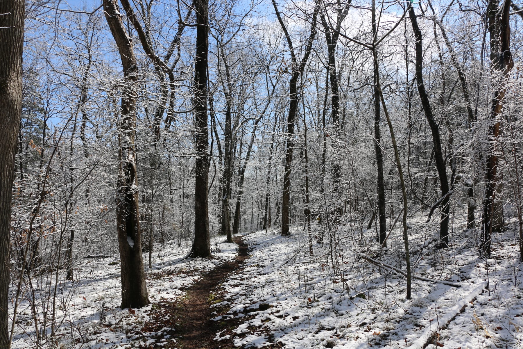 The Buffalo River corridor near the Ozark-to-Pruitt trail shows forested bluffs and a broad river bend.