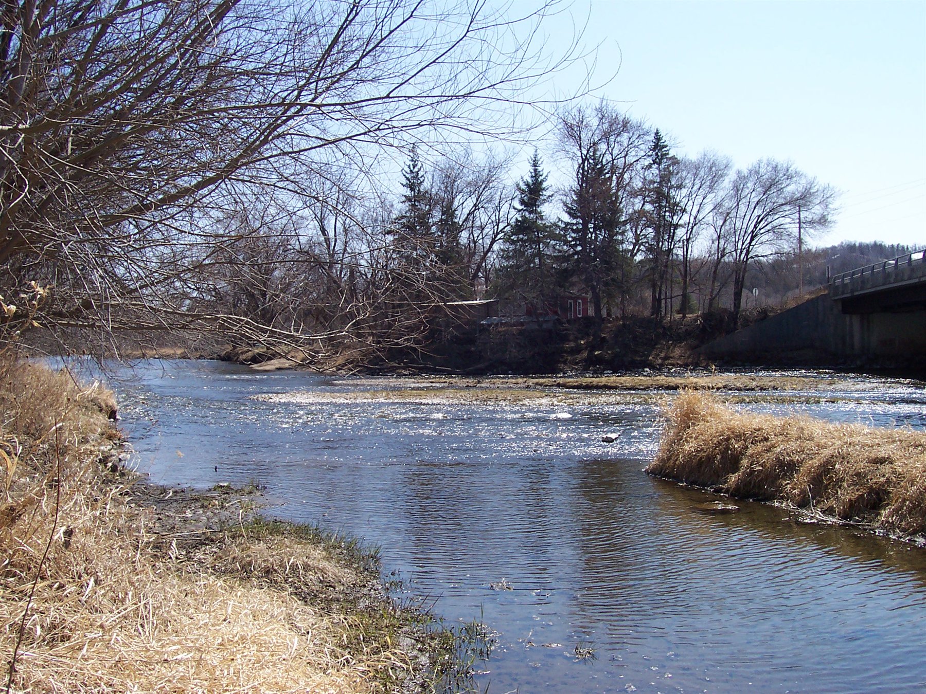 The Cannon River flows through Welch Township in spring with wooded banks and a broad current.