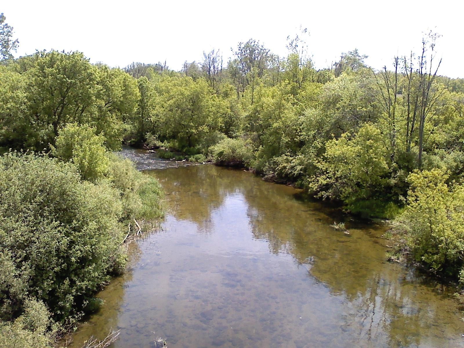 The Clinton River flows past wooded banks in Macomb County, Michigan.