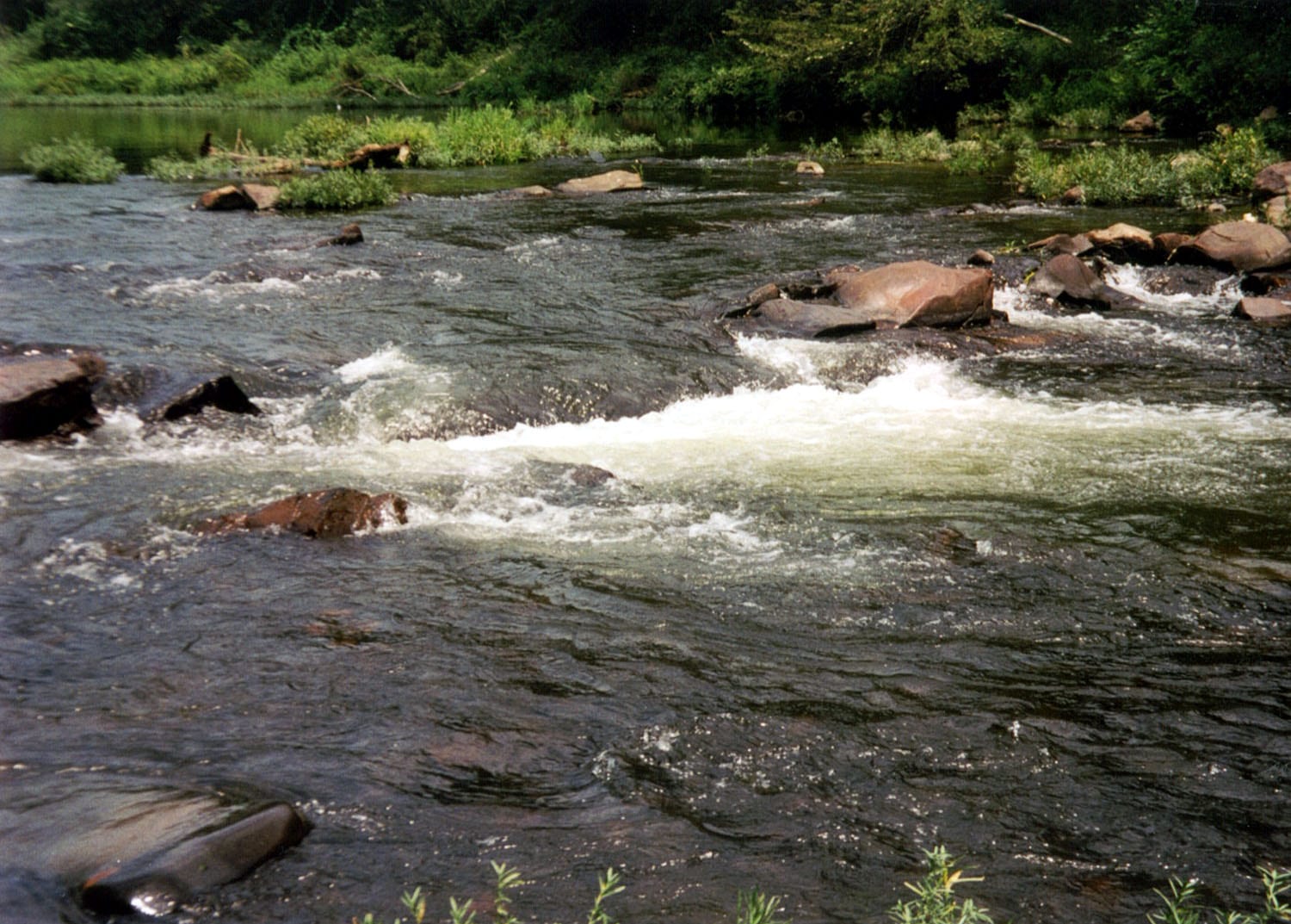 The Cossatot River runs over a rocky channel with clear water and wooded banks in southwest Arkansas.