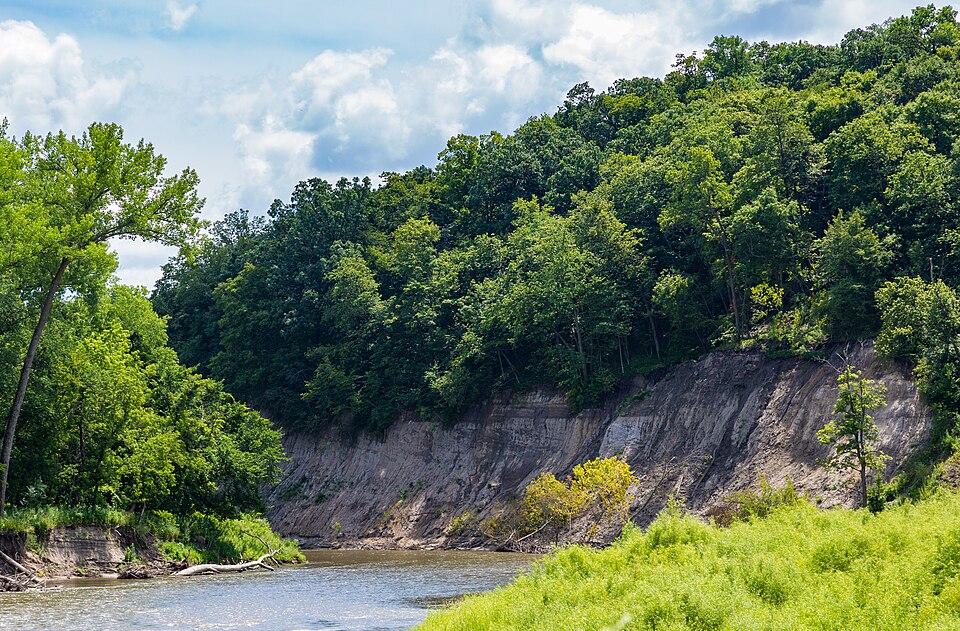 The Cottonwood River bends through Flandrau State Park with green wooded banks and a partly cloudy sky.