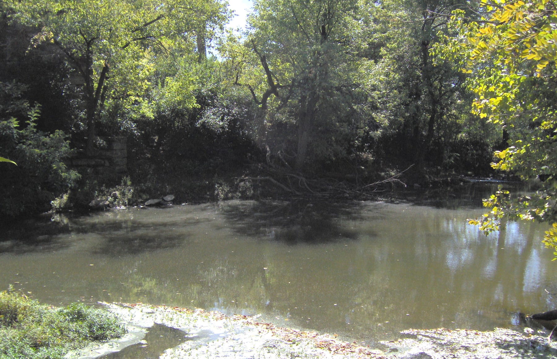 North Elkhorn Creek flows through a leafy Kentucky creek corridor with a low wooded bank beside the water.