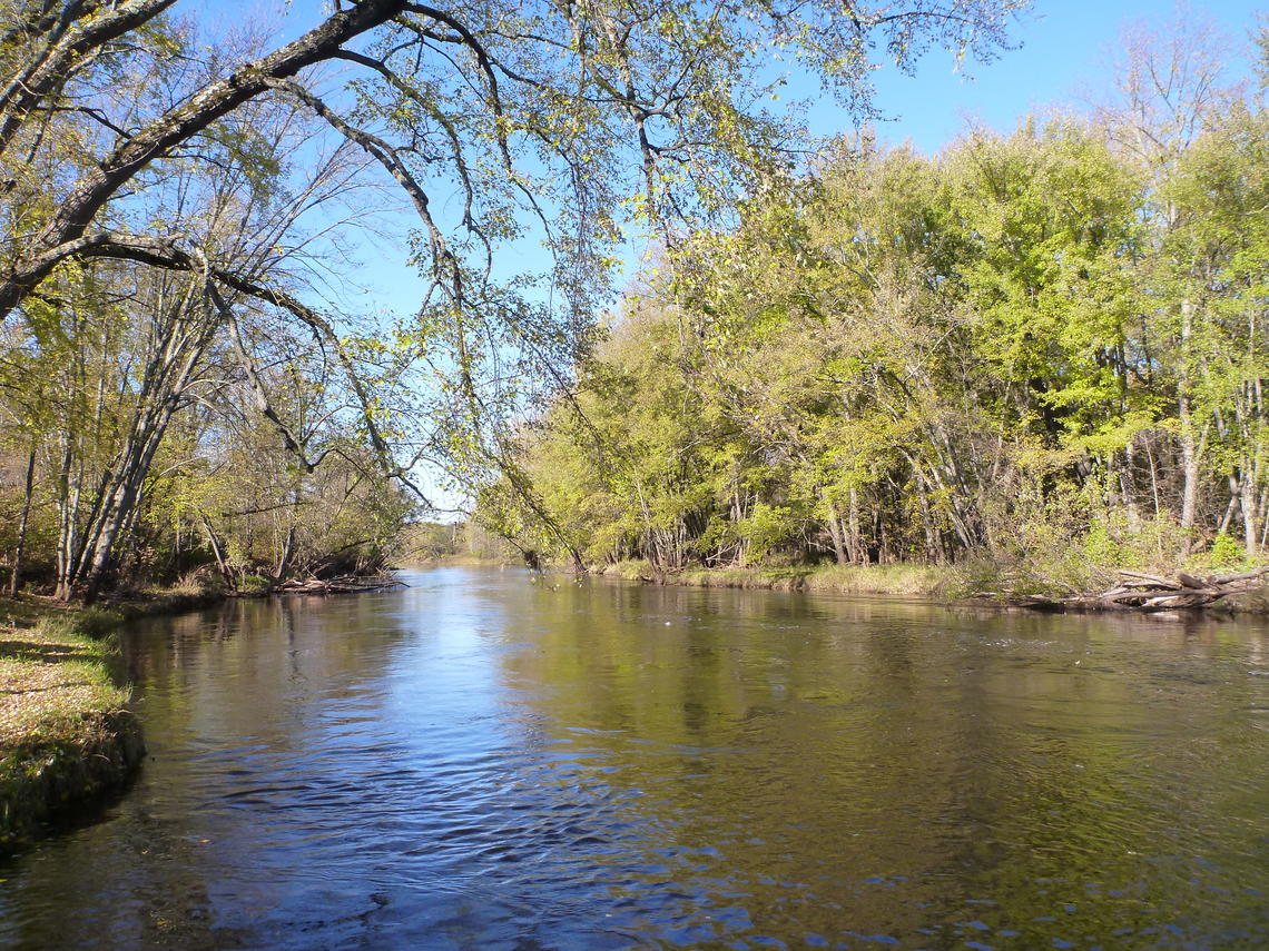 The Flambeau River near Bruce flows between wooded banks with a light riffled surface.