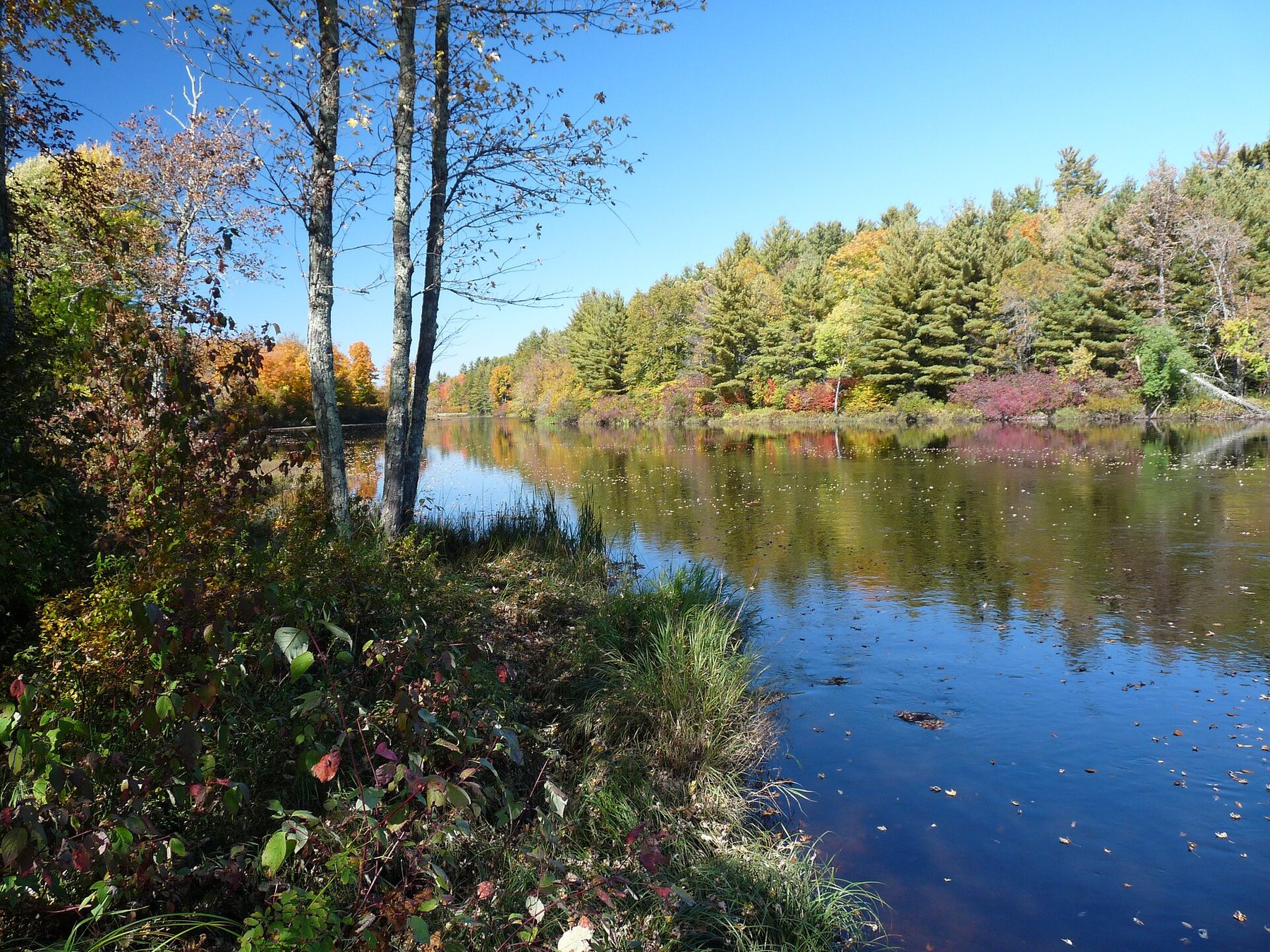 The Flambeau River flows through forested banks with autumn color reflected in calm water.