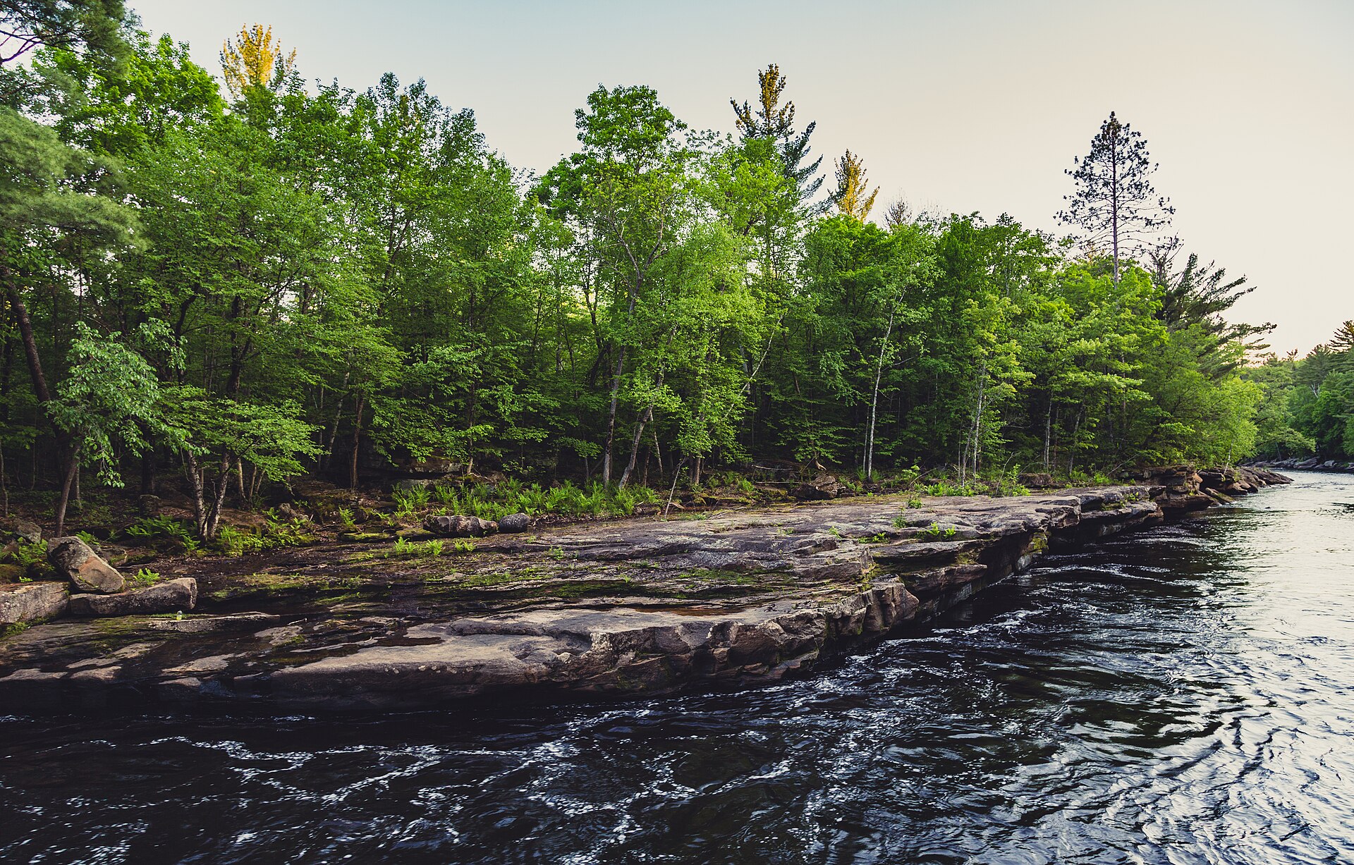 The Kettle River winds through Banning State Park with evergreen trees and rocky banks along the channel.