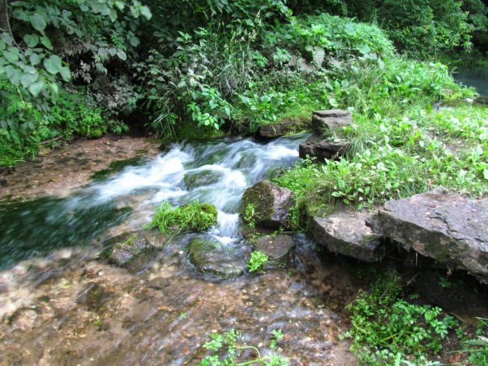 Clear water spills through a rocky green stream channel in Backbone State Park.