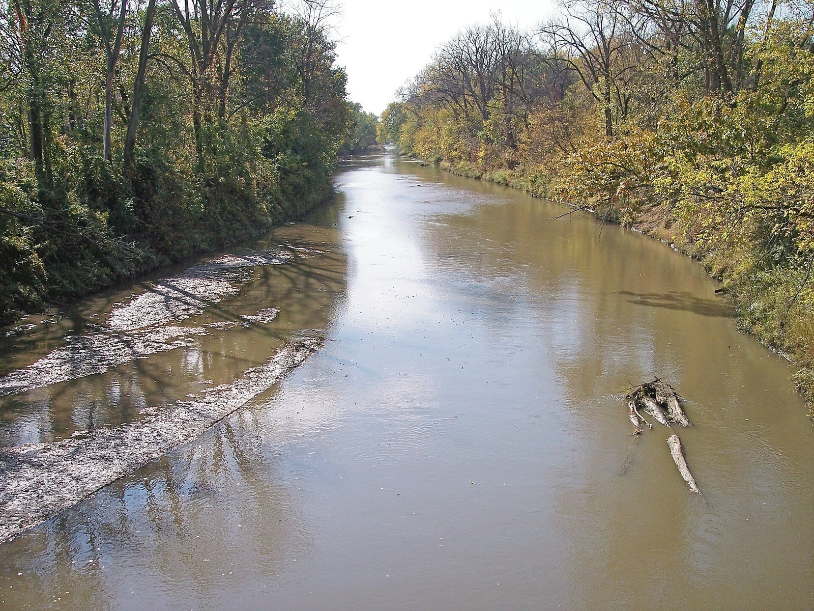 The Middle River runs between wooded banks with a low gravel bar and overhanging trees.