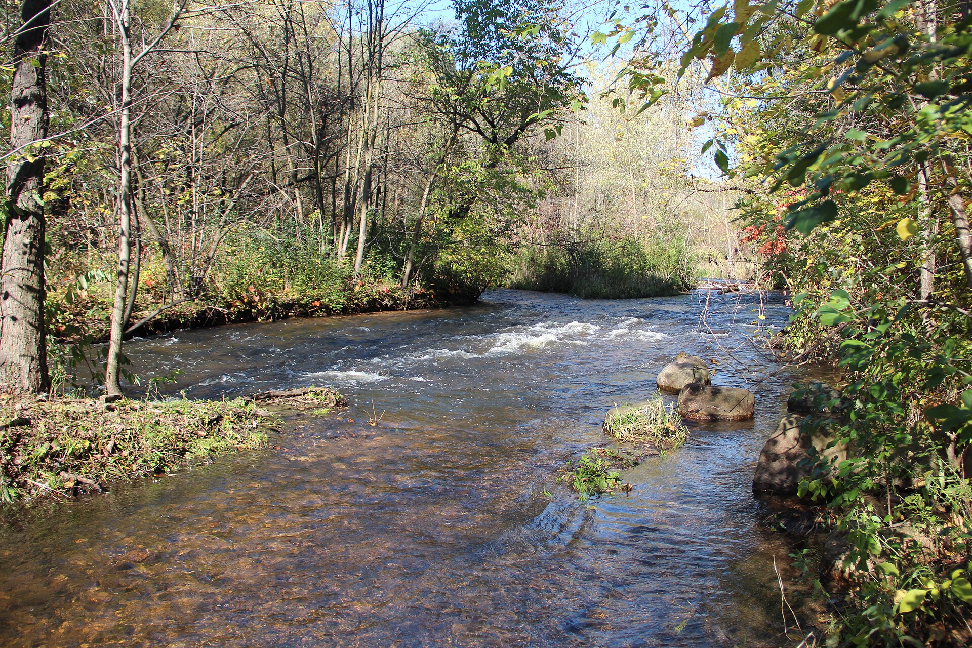 Minnehaha Creek flows through a wooded Minneapolis park corridor with autumn leaves along the banks.