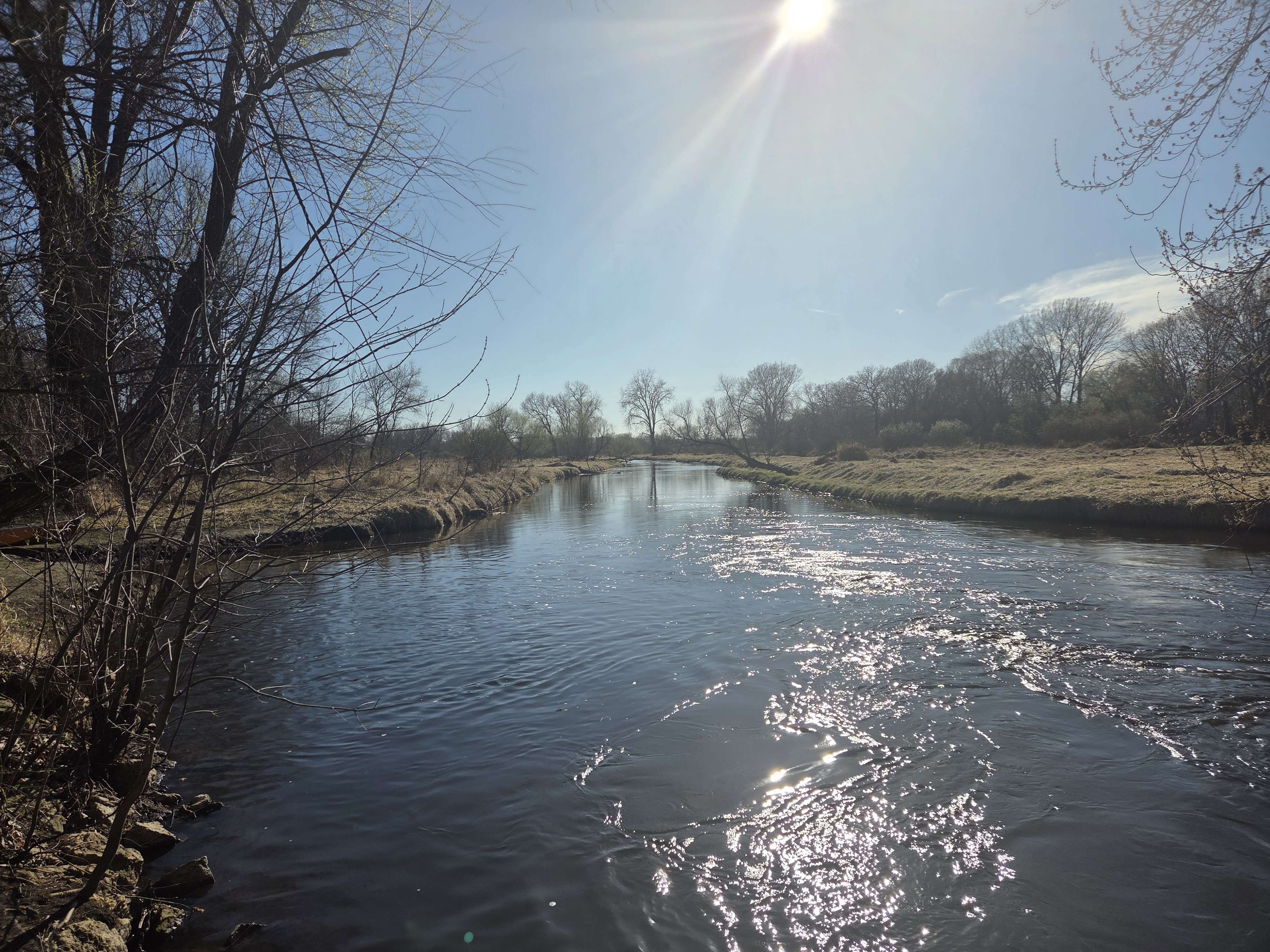 Rice Creek flowing under bright sun with sparkling water, grassy banks, and early spring trees along the channel.