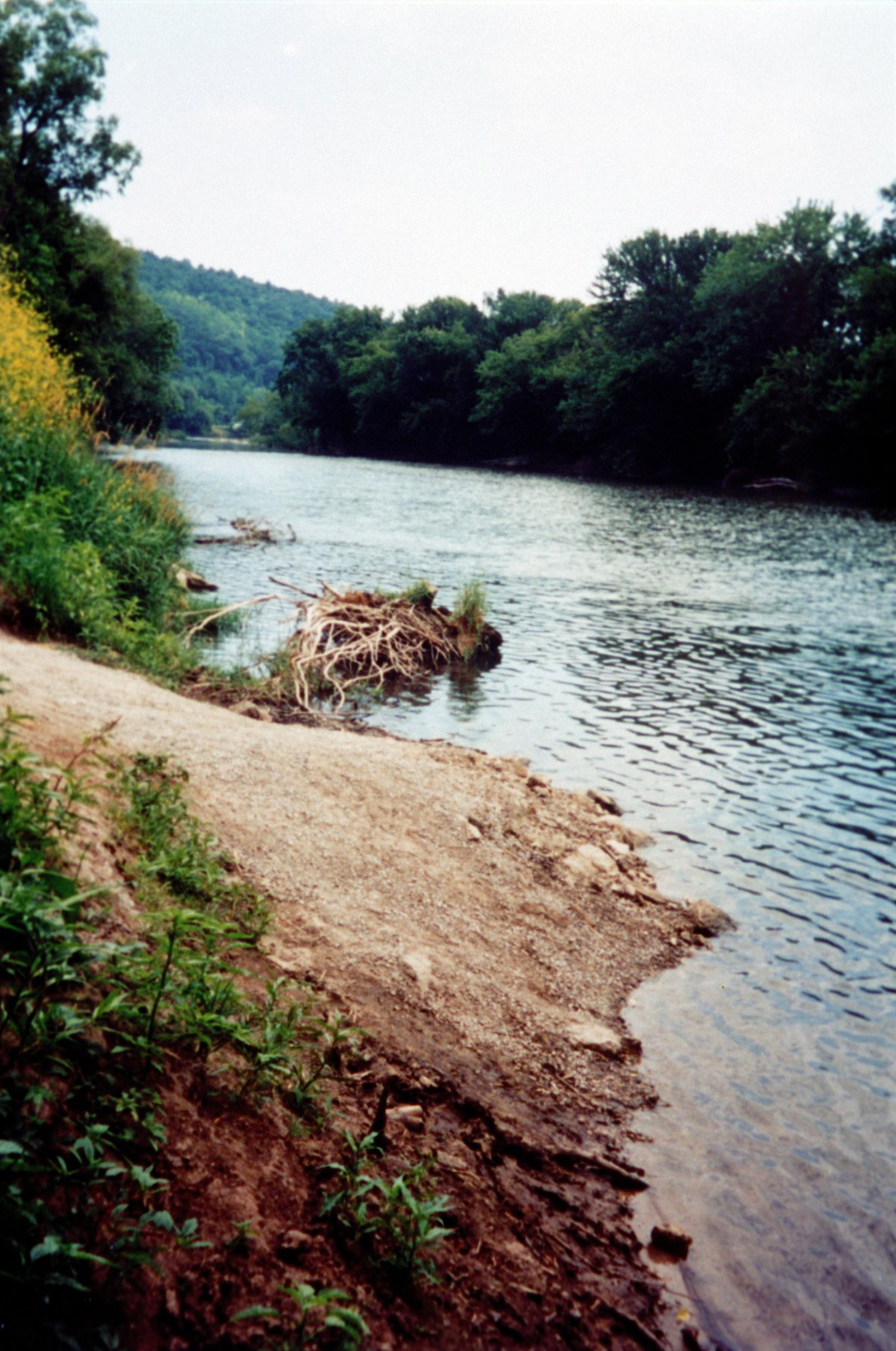 The Root River winds through bluff country near Peterson with wooded slopes rising above the water.