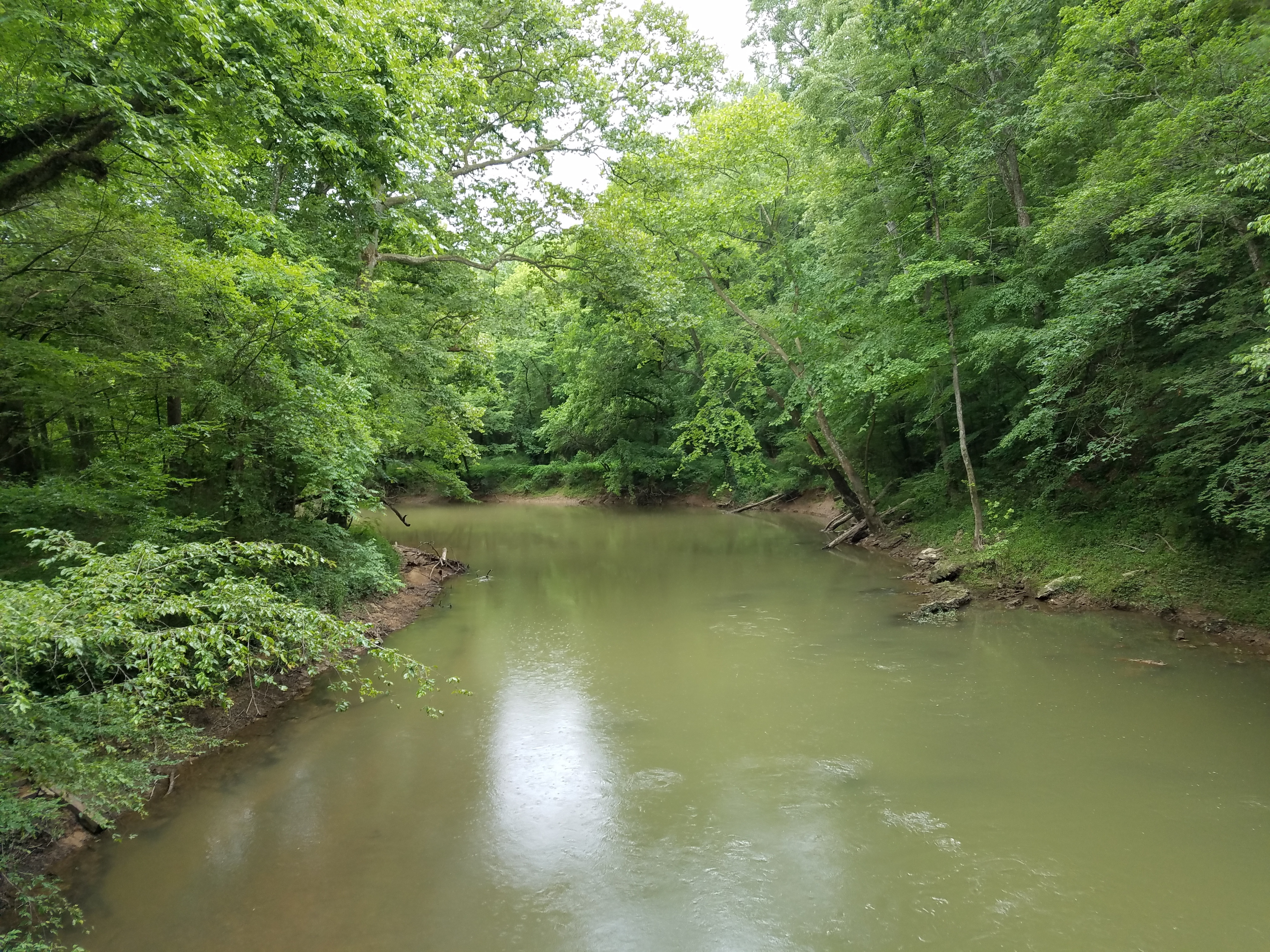 South Chickamauga Creek runs through a leafy corridor at Audubon Acres in Chattanooga, Tennessee.