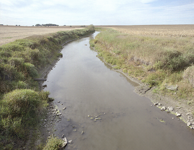 The South Fork Crow River flows through a grassy rural corridor with trees along the far bank.