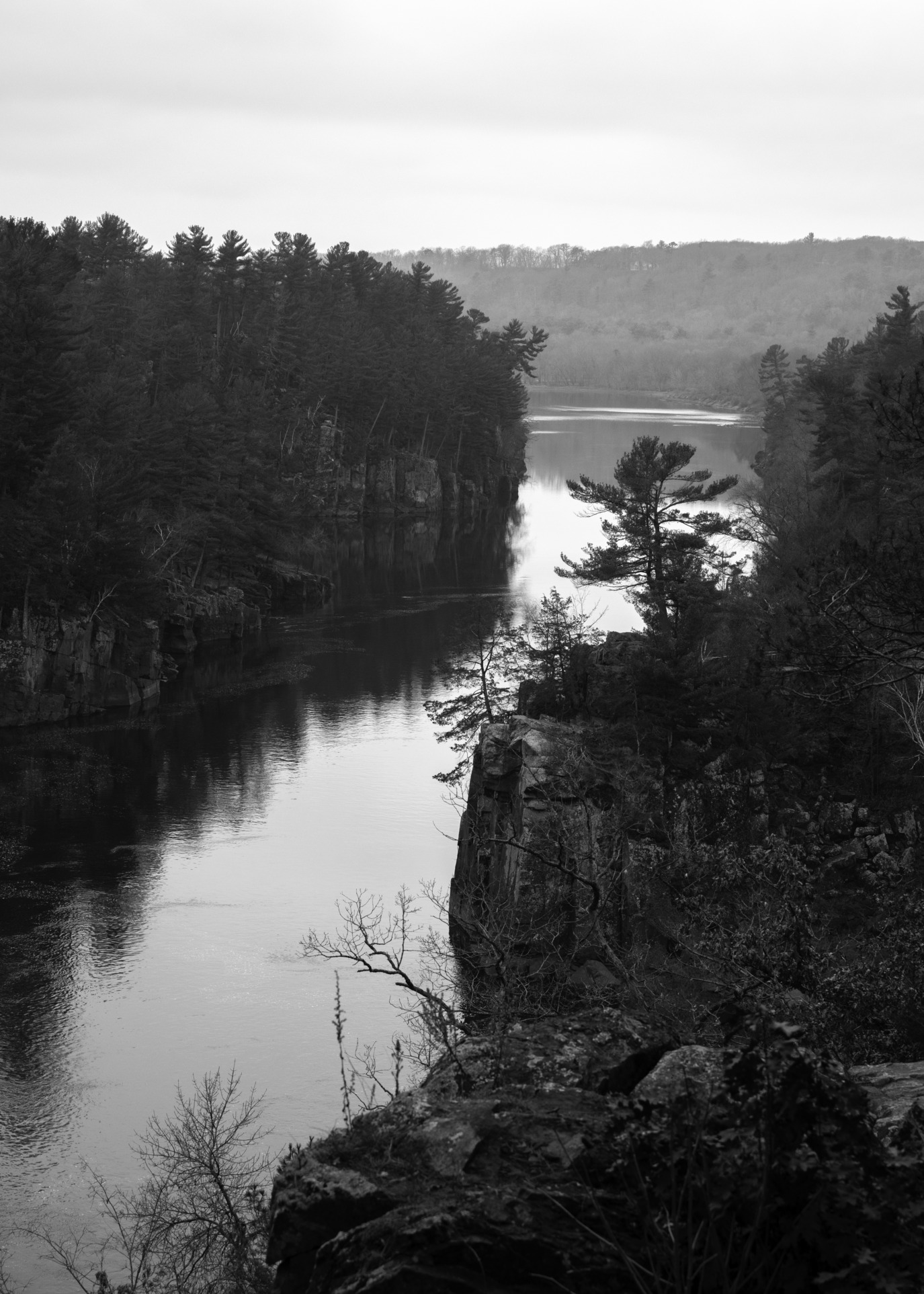 A bright slash of river cleaves two dark sides of a gorge from upper right to lower left. The cliff tops are dense with trees, whose tops are distinct against the sky above while their reflection obscures the water below. The silhouette of one pine tree on the right side is framed by bright river water.